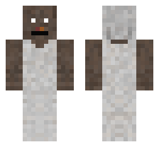 skin