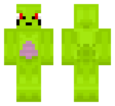 skin