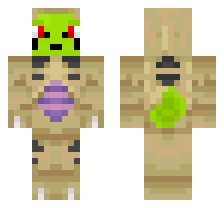 skin