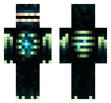 skin