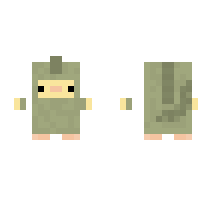 skin