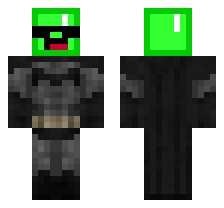 skin