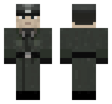 skin