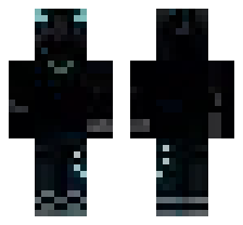 skin