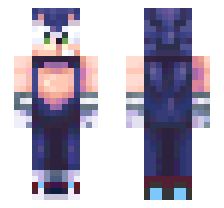 skin