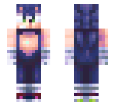 skin