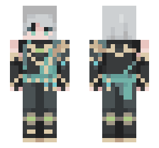 skin