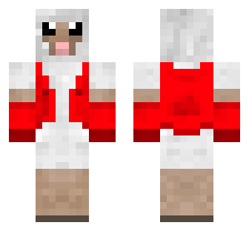 skin