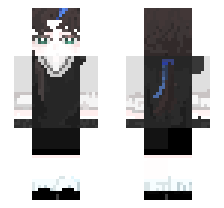 skin