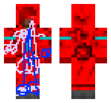 skin