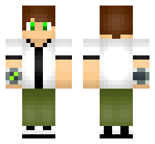 skin