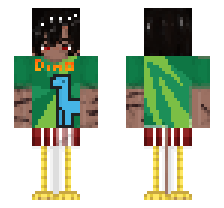 skin