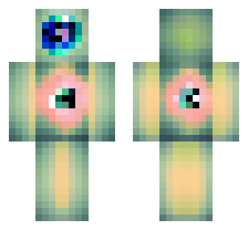 skin