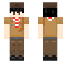 skin