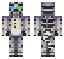 skin