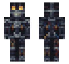 skin