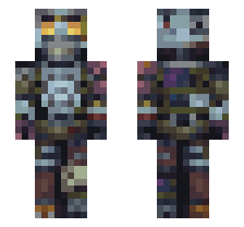 skin