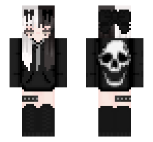 skin