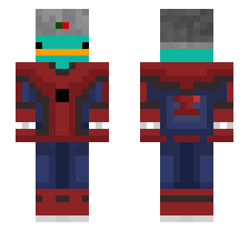 skin