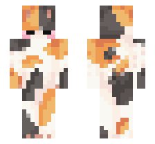 Tricolor Cat - Minecraft