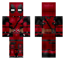 skin