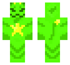 skin
