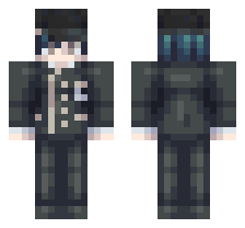 skin