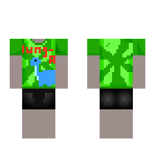 skin