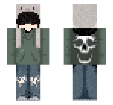 skin