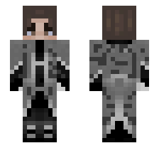 skin