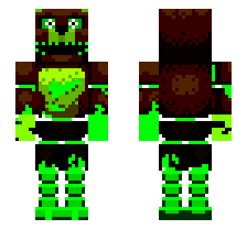 skin