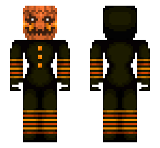 skin
