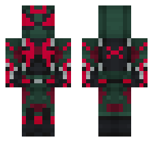 skin