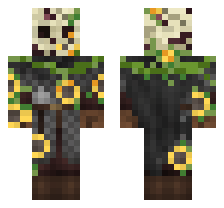 skin