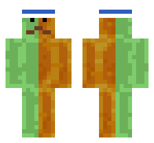 skin