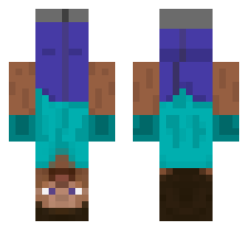 Steve FAMILY: In Upside Down  