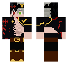 skin