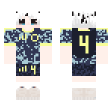 skin