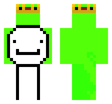 skin