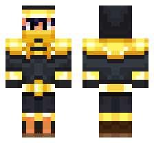 skin