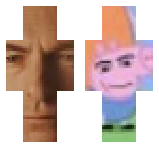 skin