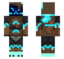 skin