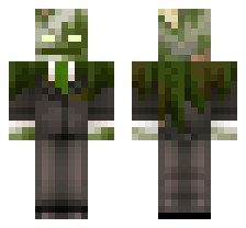 skin