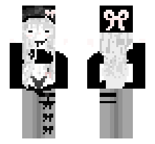 skin
