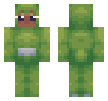 skin