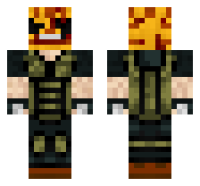 skin