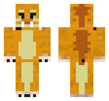 skin