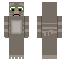 skin