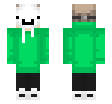 skin