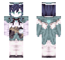 skin